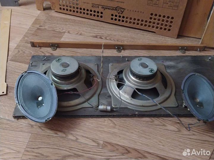 Динамики от радиолы ригонда 102