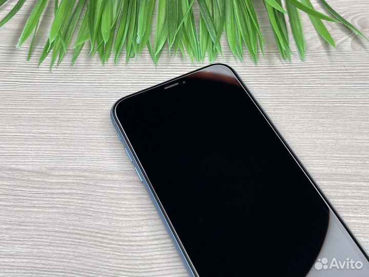 iPhone XR 64GB Blue