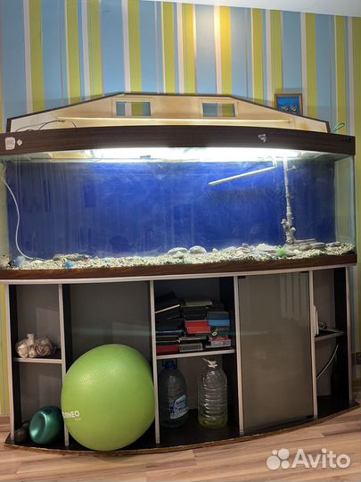 Аквариум 400 литров с тумбой
