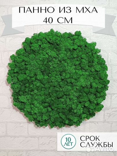 Картина круглая 40 см из стабилизированного мха