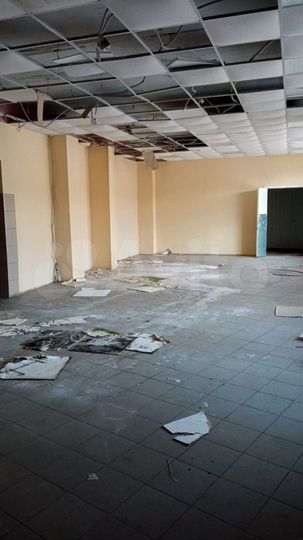 Торговая площадь 546,6 м²