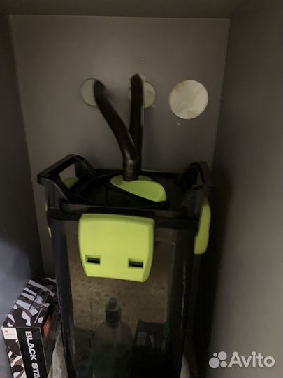 Аквариум, астронотусы