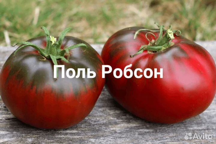 Томаты сортовые рассада