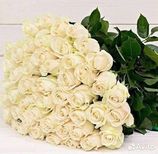 Высокие розы Гигантские розы Доставка цветов