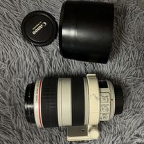 Canon EF 70-300 4-5.6 L