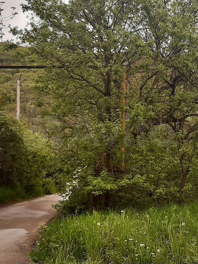 Участок 1 сот. (ИЖС)