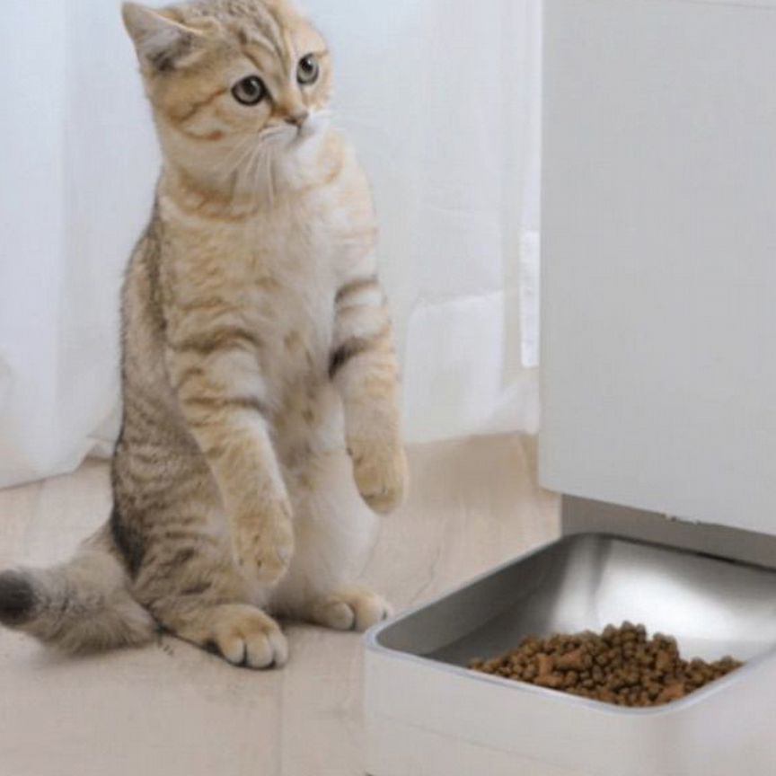 Автокормушка Xiaomi SMART Pet Food Feeder белый