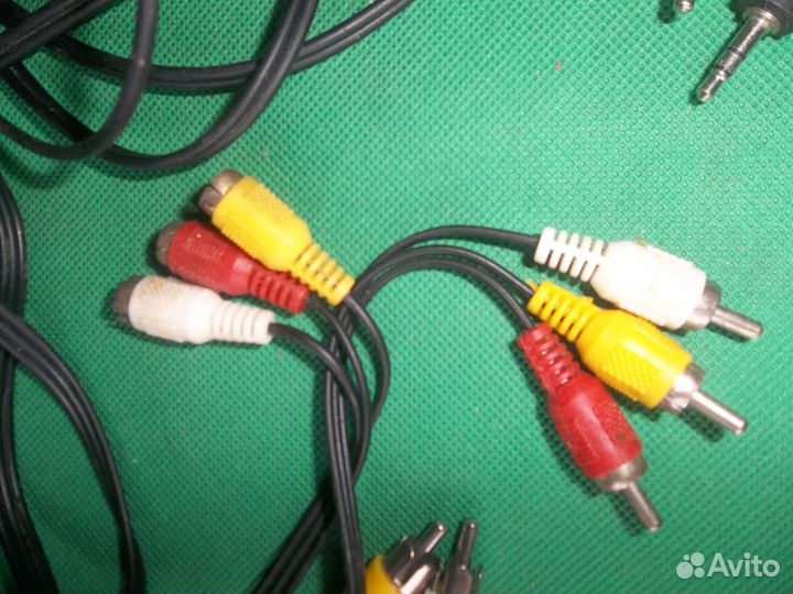 Тюльпаны провода