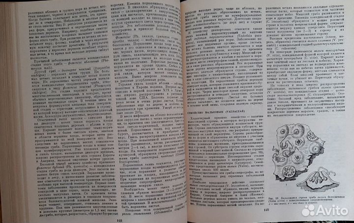 А.Л.Тахтаджян Мир растений 2 том (Слизевики, грибы