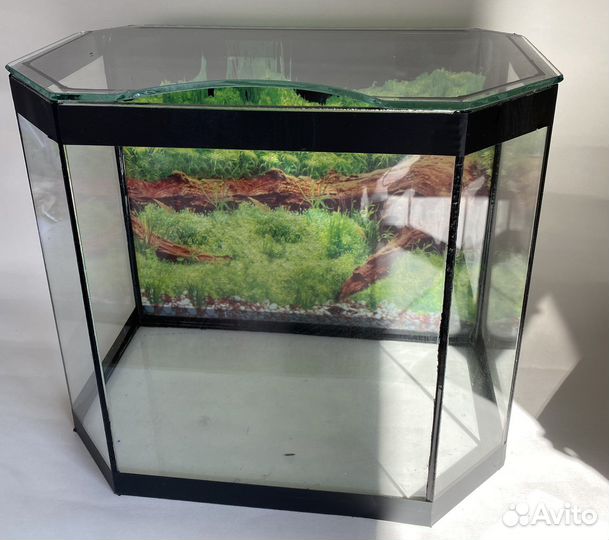 Аквариум новый