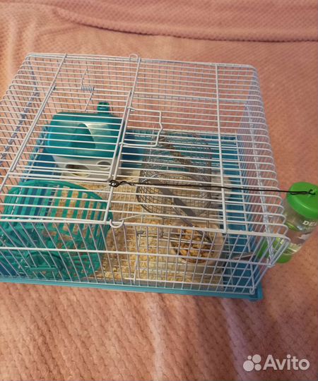 Джунгарский хомяк с клеткой