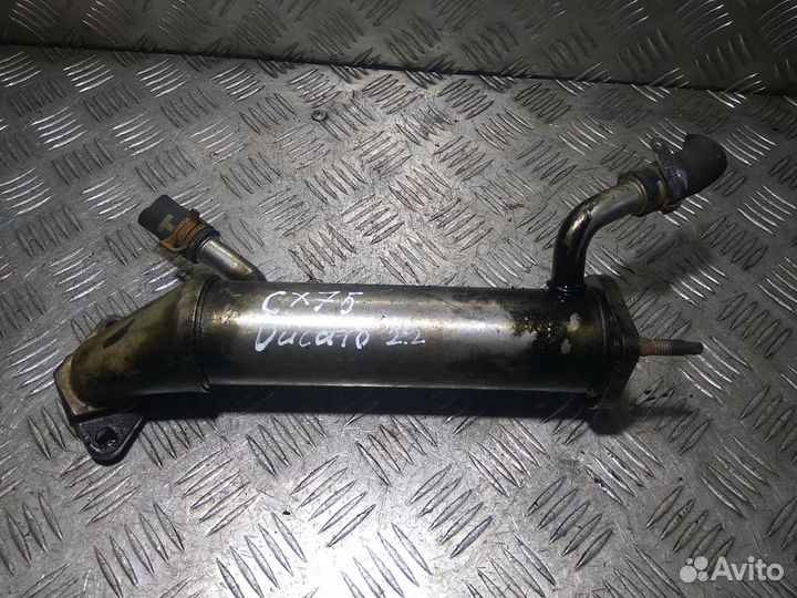 Радиатор егр (Теплообменник EGR) Фиат Ducato