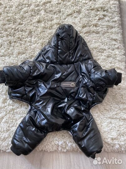 Одежда для собак мелких пород