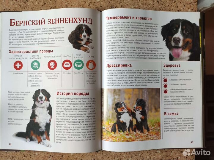 Бол. иллюстр. энц. Все породы собак