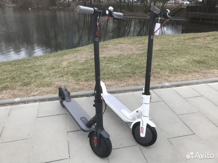 Аренда электросамоката Электросамокат в прокат Mi