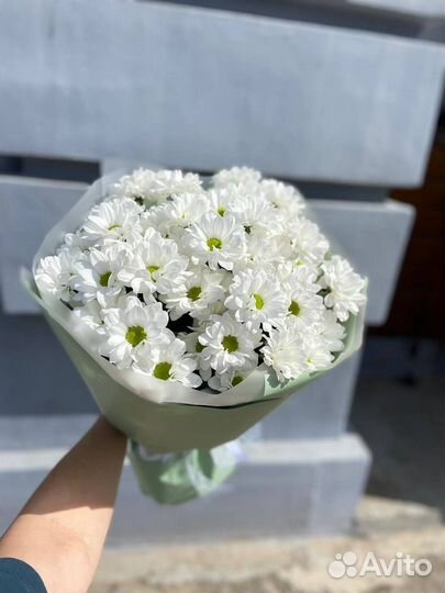 Букет цветов. Хризантемы. Доставка