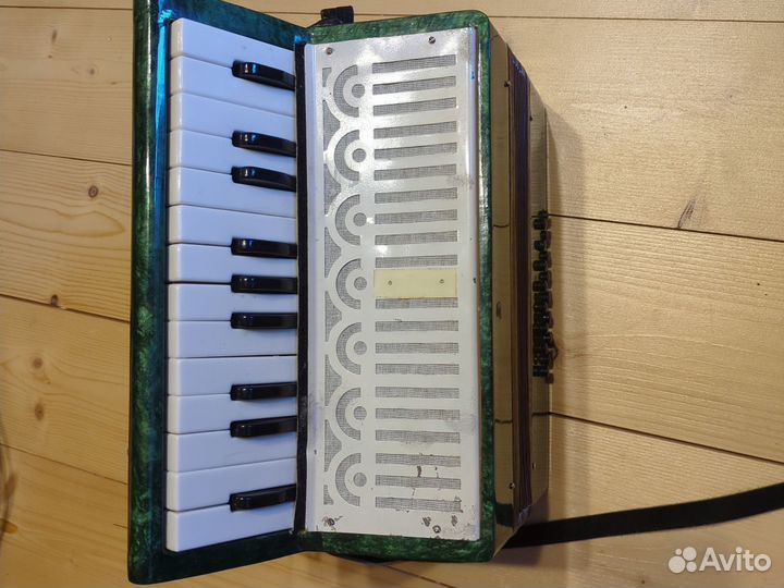 Детский аккордеон Крыжачок