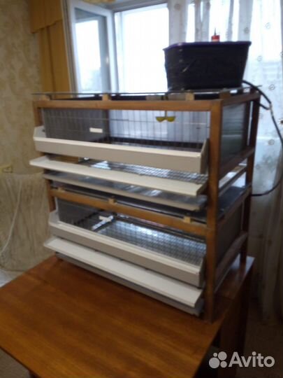 Клетки, инкубатор