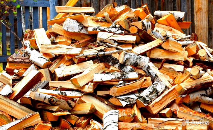 Кора березы