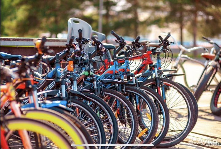 Прокат /аренда велосипеда электросамоката