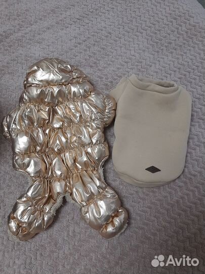 Одежда для маленьких собак