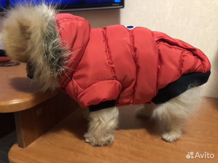 Зимняя куртка для собаки