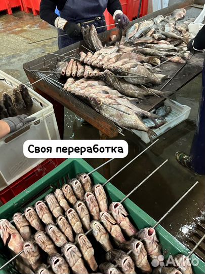 Рыба вяленная, сухая