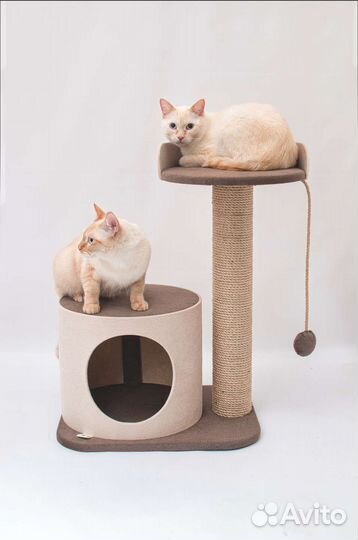 Домик для кошки с когтеточкой