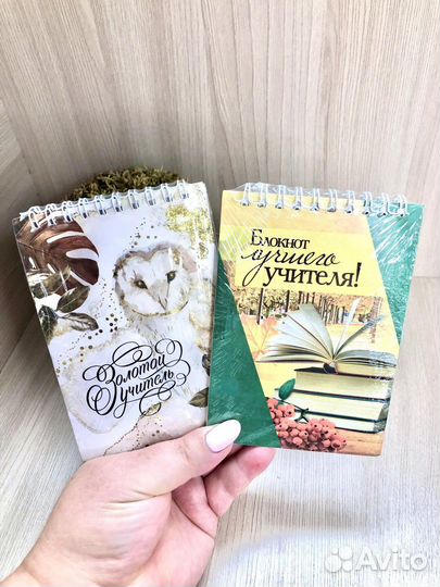 Подарок для учителя воспитателя Ежедневник
