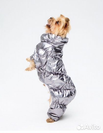 Одежда для собак