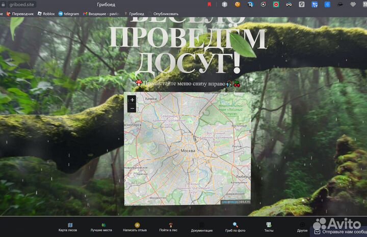 Создание и разработка сайтов