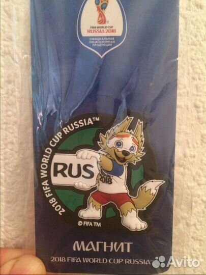 Магнит Монета Забивака