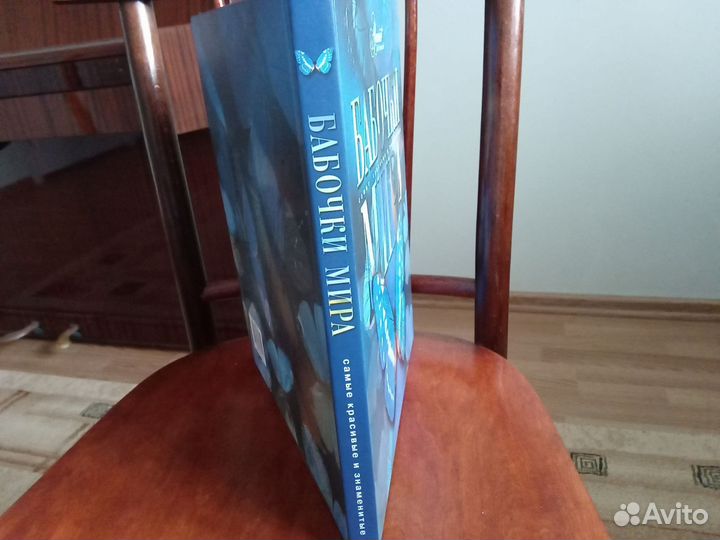 Новая книга бабочки мира