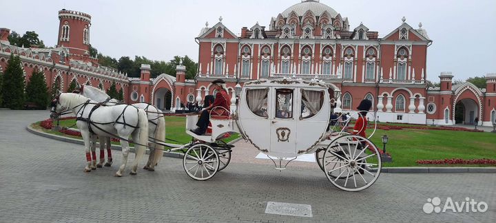 Карета,сани,телега,лошади,пони на праздник