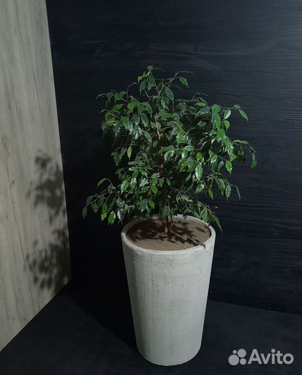 Вазоны, Горшки, Кашпо под заказ из бетона