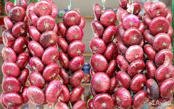 Предзаказы на октябрь. Семена ялтинского лука