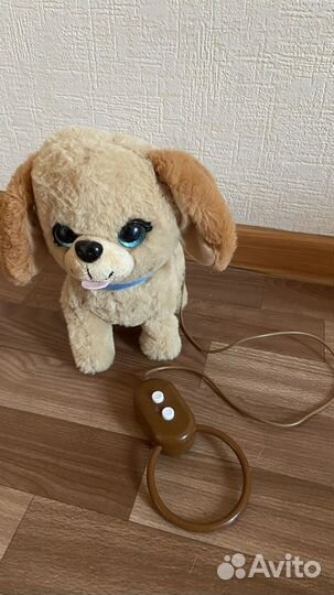 Интерактивная собака