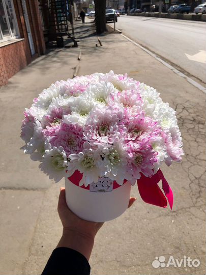 Хризантемы в боксе