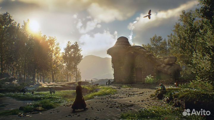 Hogwarts Legacy Xbox One Series S/X
