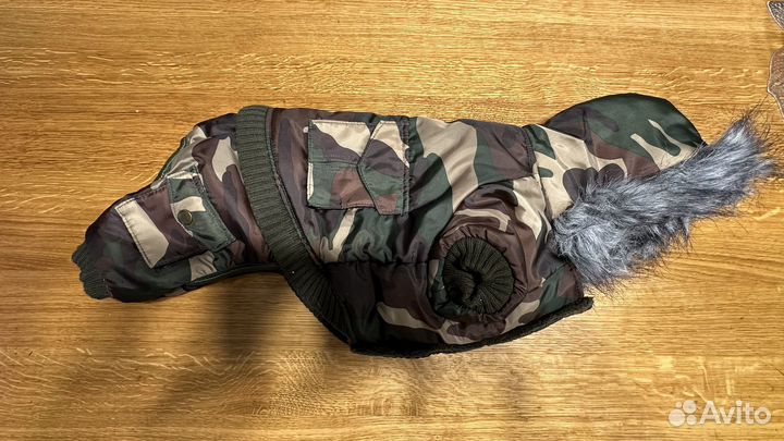 Одежда для средних собак