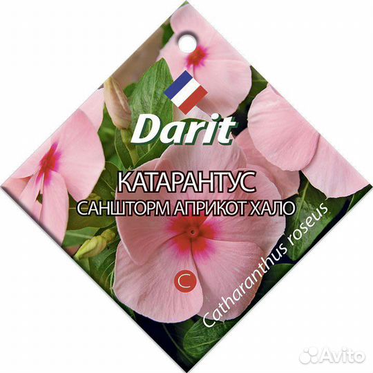 Darit катарантус Саншторм Априкот Хало 10шт