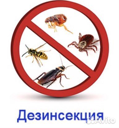 Бугры Уничтожение насекомых Дезинфекция