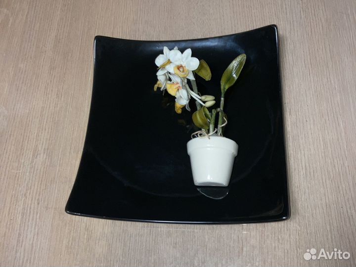 Блюдо Сандра Рич черный квадрат Германия