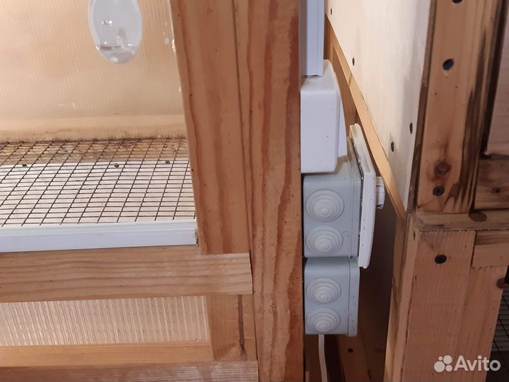 Брудер для цыплят с терморегулятором и подсветкой