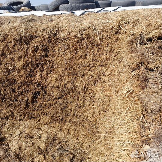 Силос сенаж