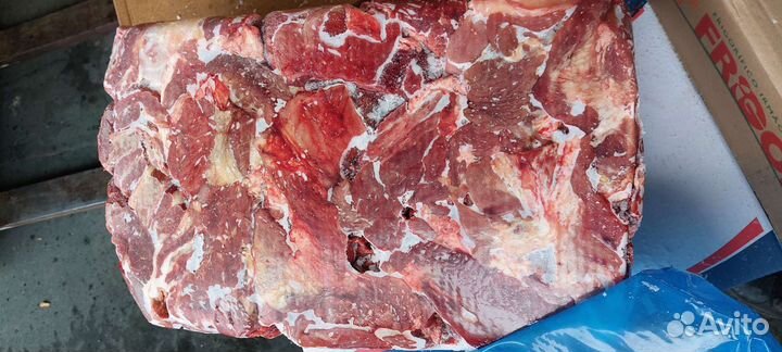 Мясо говядины,передние четверти Бразилия,Парагвай