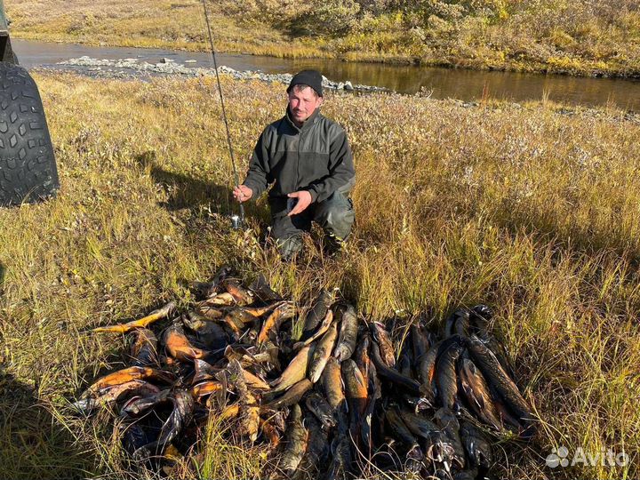 Рыболовный тур на снегоходах на полуостров Канин