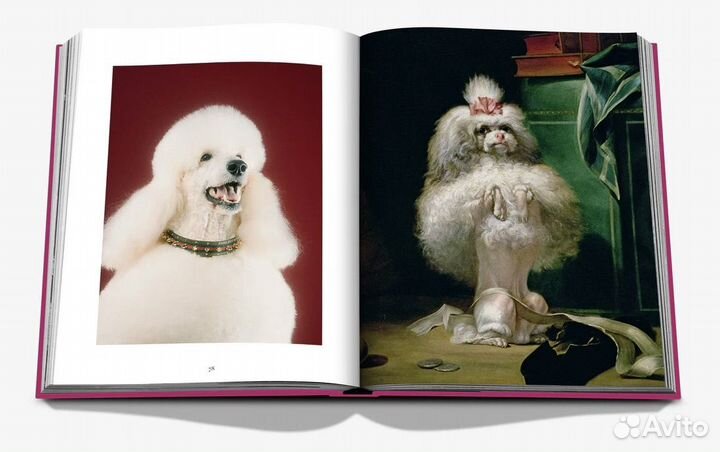 Assouline chic dogs