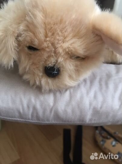 Интерактивная собака