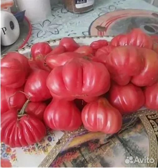 Помидоры зеленые